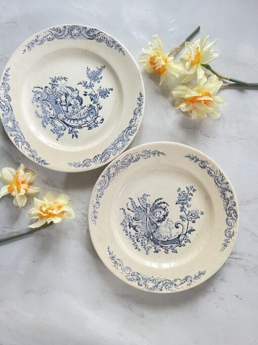 PAIR OF BLUE AND WHITE PLATES